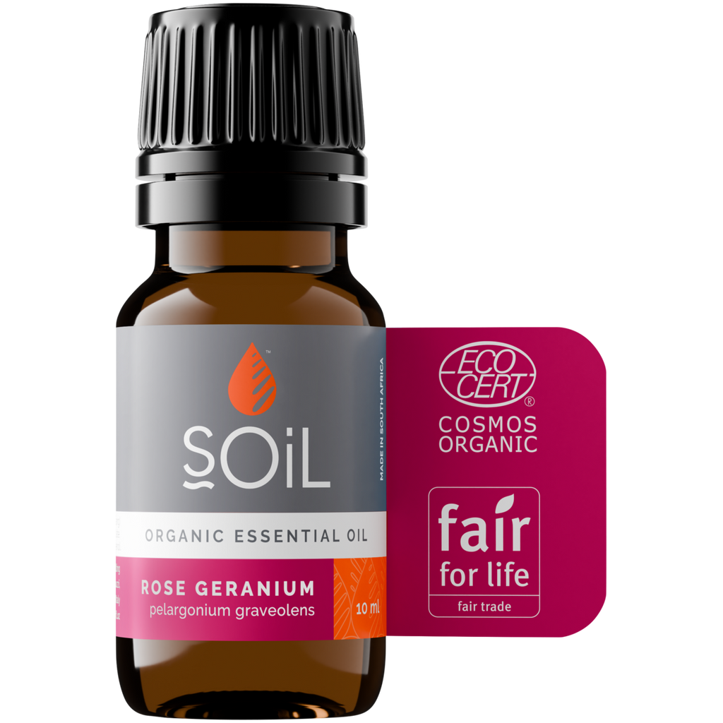 Organic Rose Geranium Essential Oil (Pelargoneum Graveolens) 10ml